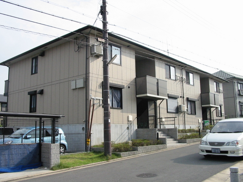 グリーンパーク　ニレの木