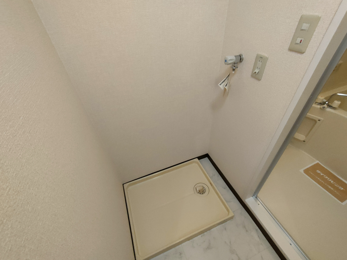写真19